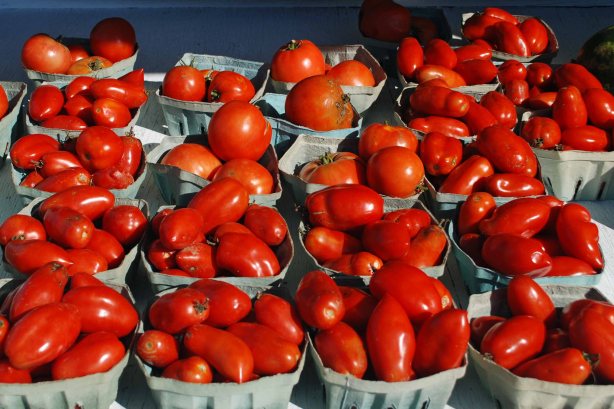 Fresh tomatoes!